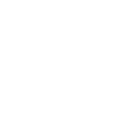 sdasd