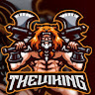 theviking0