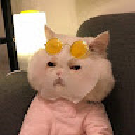 MINA_naaaa