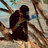 tharushama