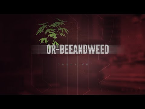 Beehive & Weed Planting